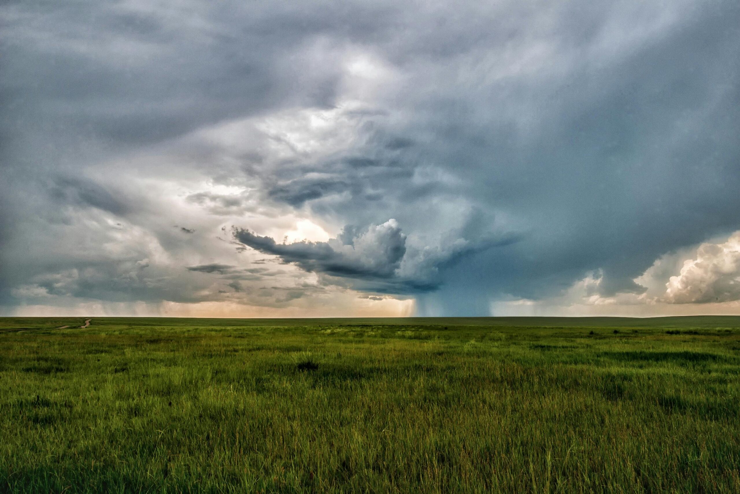 Insurance and Accountability (Part 1): Examining the Causes of the Abuse Crisis in Churches