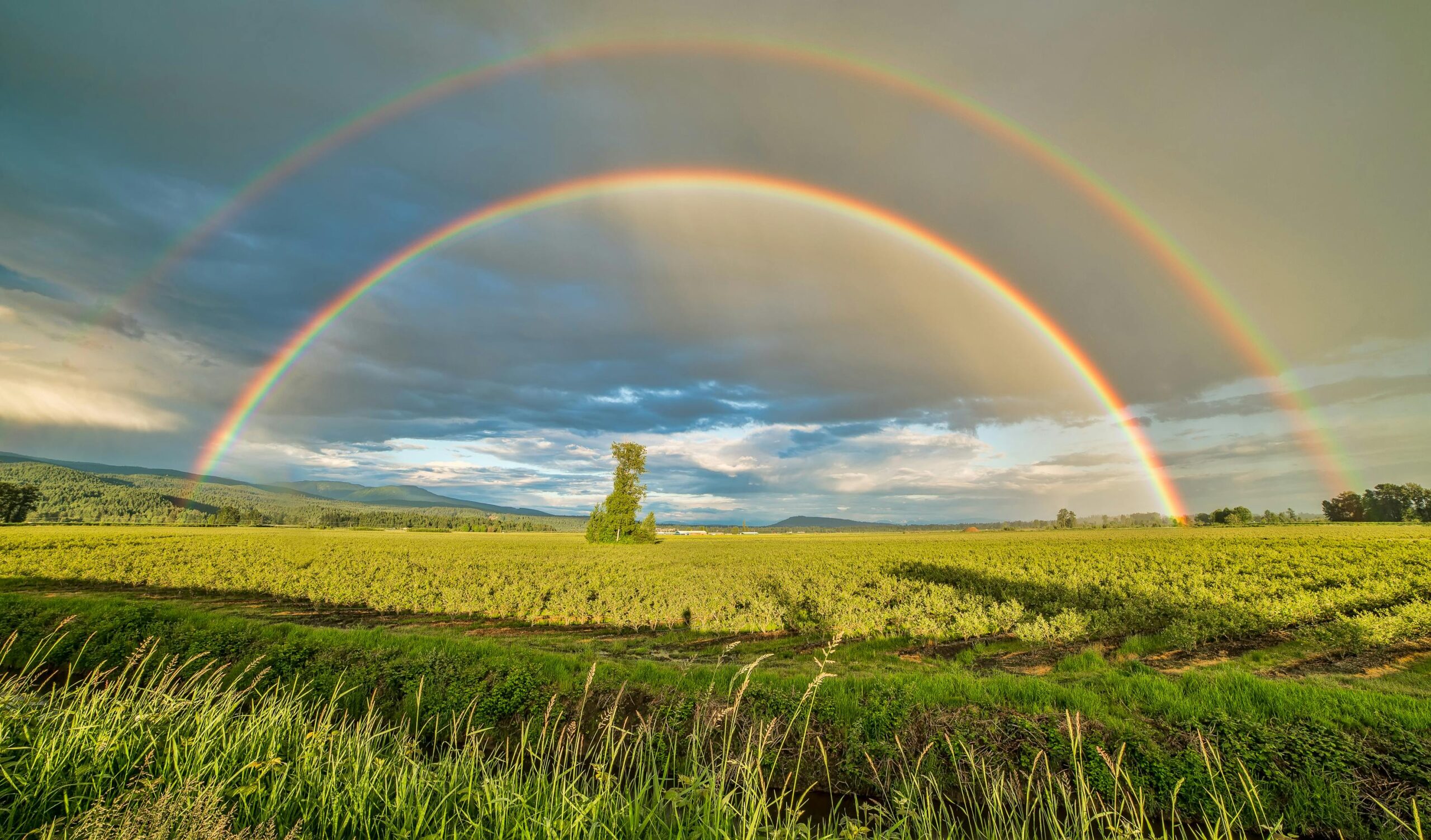 Insurance and Accountability (Part 2): A Return to the Biblical Principles of Stewardship and Justice